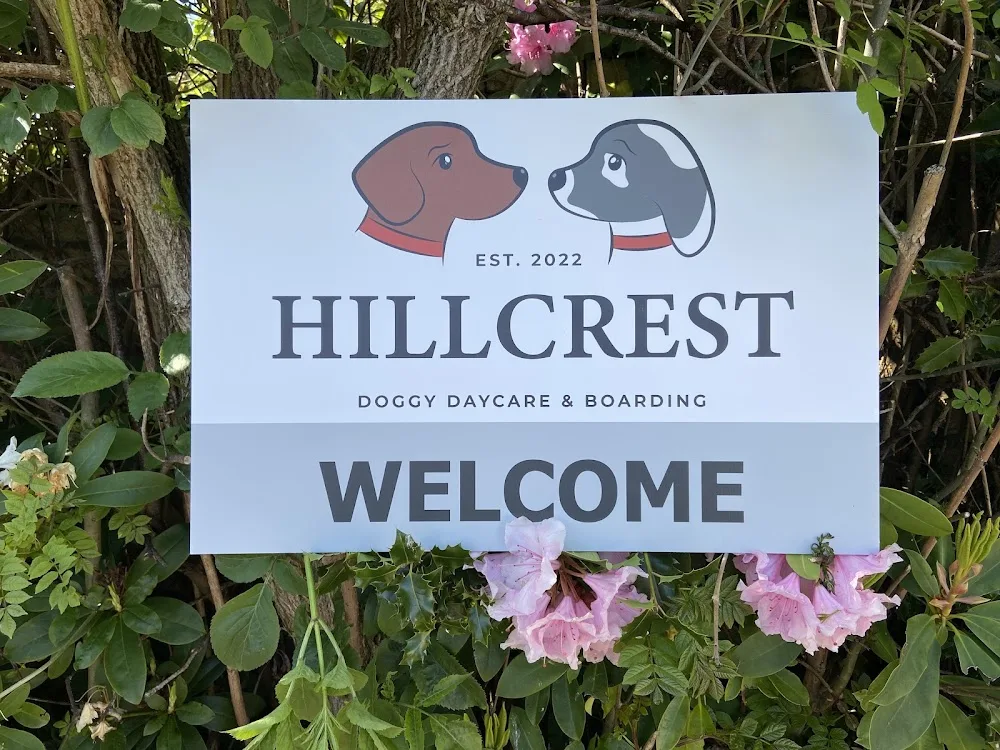 Hillcrest Doggy Daycare, Boarding and Grooming - South Ayrshire pet otel