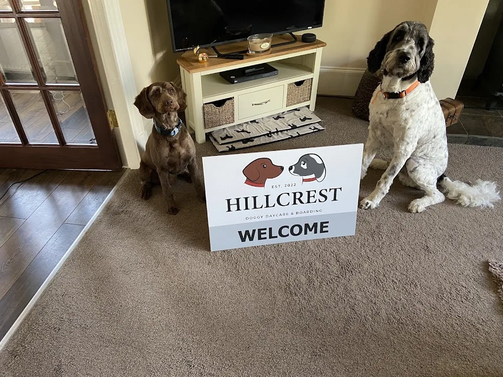 Hillcrest Doggy Daycare, Boarding and Grooming - South Ayrshire pet otel görseli 3