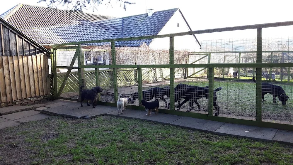 Windyhill Kennels - South Ayrshire pet otel görseli 2