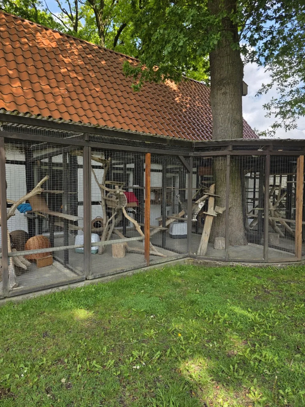 Katzenpension Riesenbeck - Geeste pet otel görseli 6