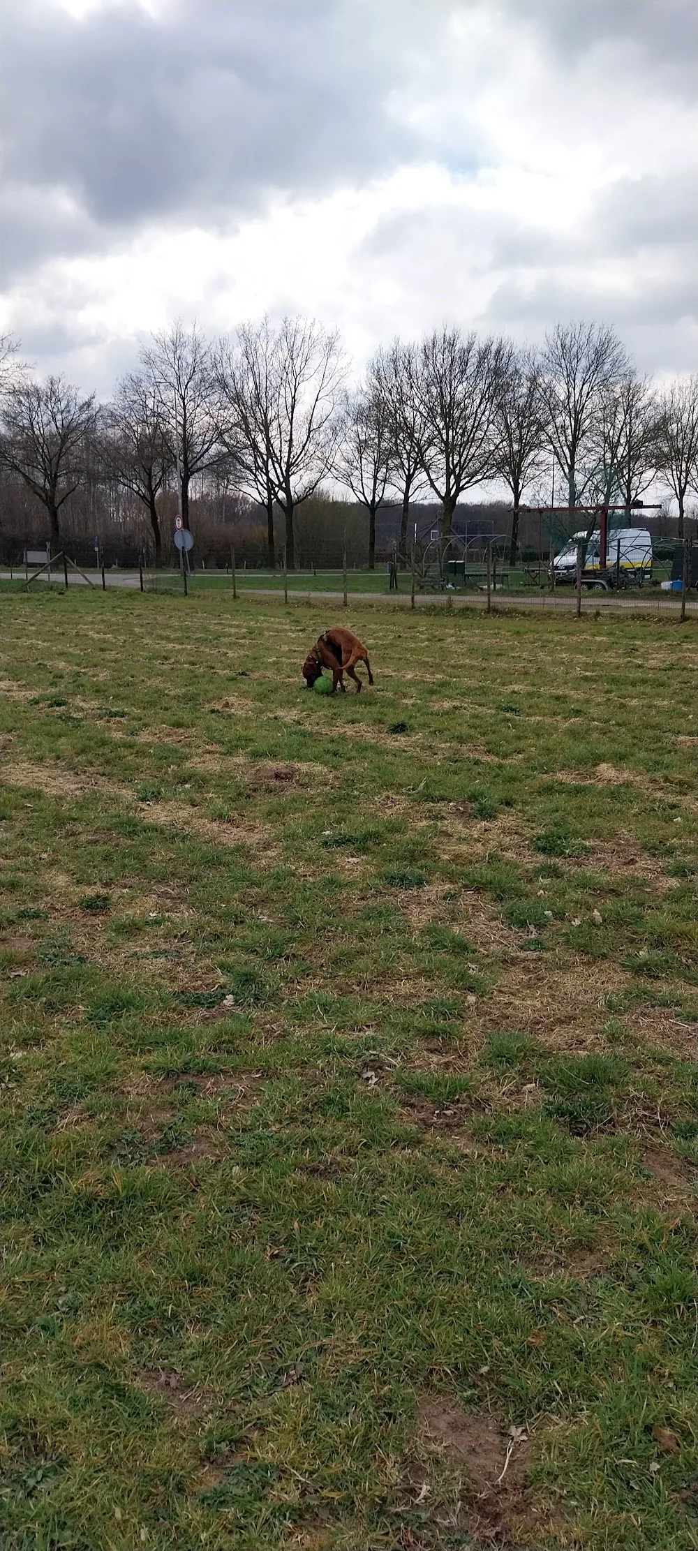 dierenpension van Gaalen - Gelderland pet otel
