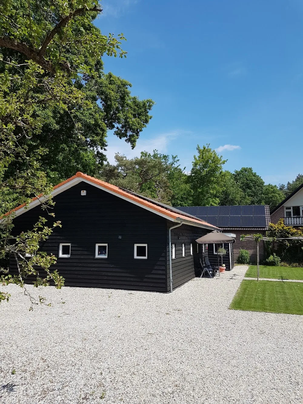 Het Catshuys, kattenhotel - Gelderland pet otel