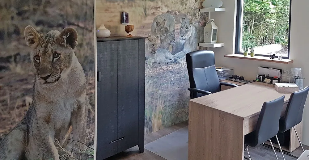 Het Catshuys, kattenhotel - Gelderland pet otel görseli 3