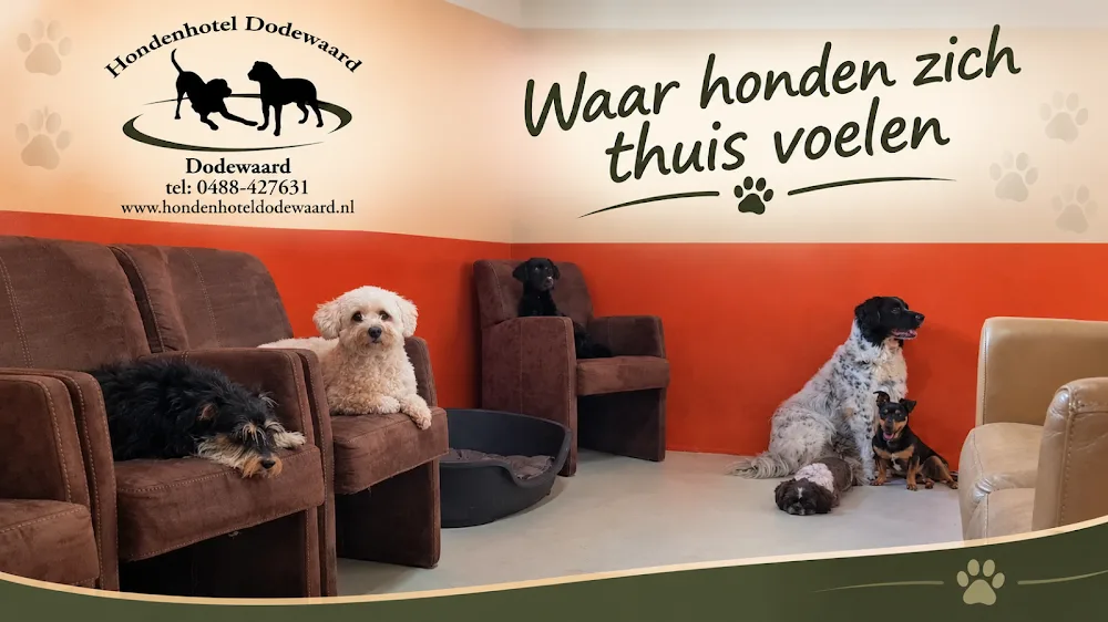 Hondenhotel Dodewaard - Gelderland pet otel görseli 3