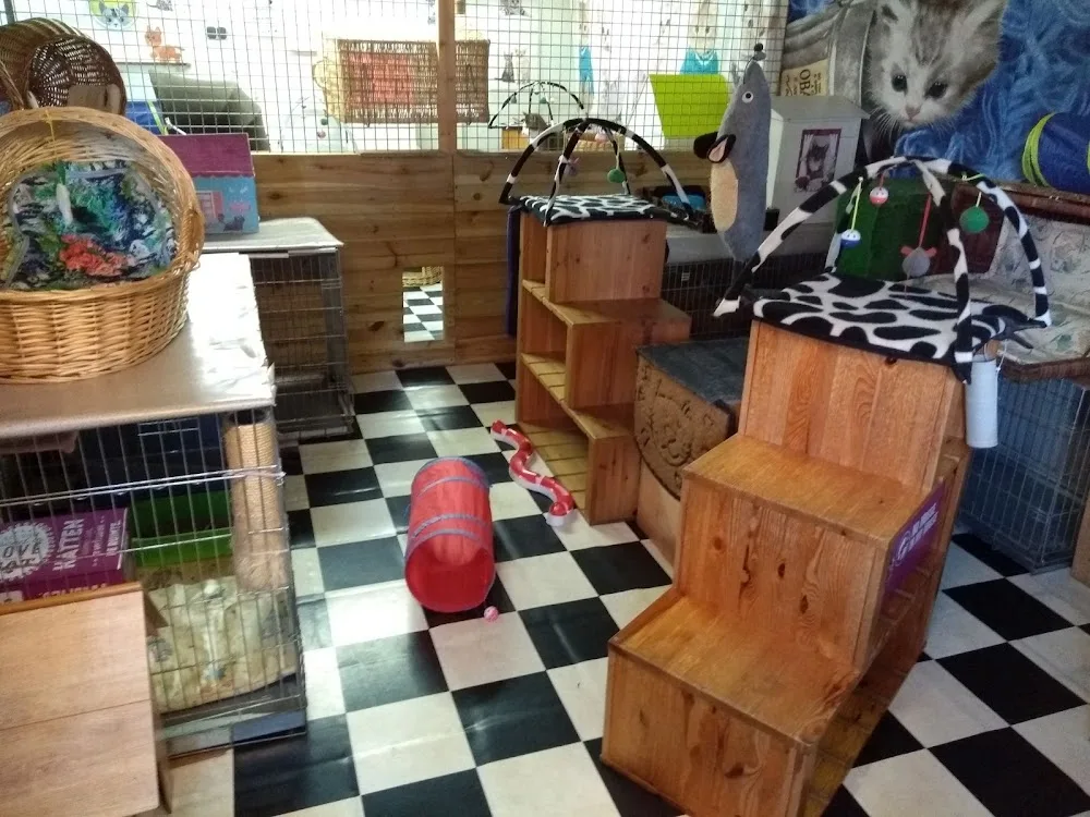 Hooftkwartier - Gelderland pet otel