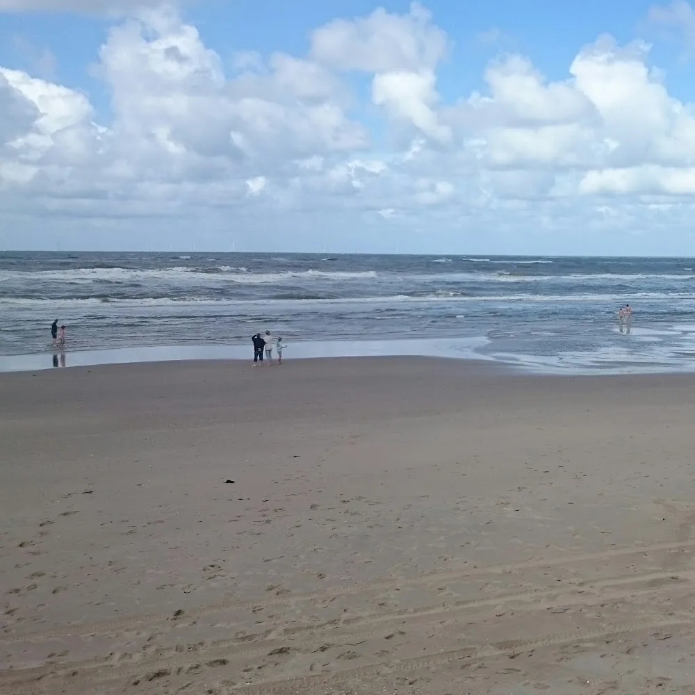 Engelse Bulldog Club Nederland - Geldrop pet otel