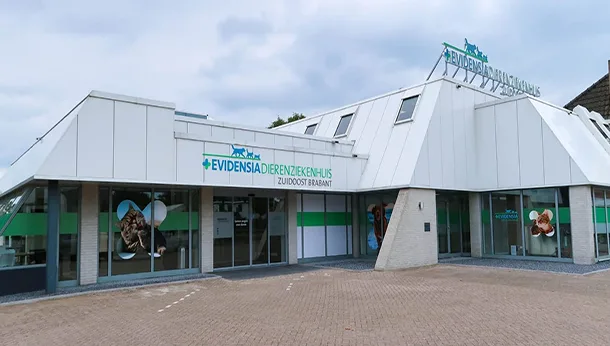 Evidensia Dierenziekenhuis Zuidoost Brabant 🚨🐾🩺 - Geldrop pet otel