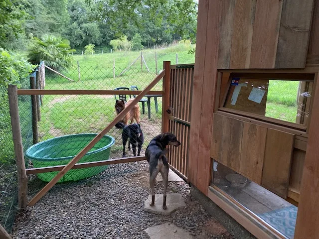 Au chien savant pension canine marciac, gers. - Gers pet otel