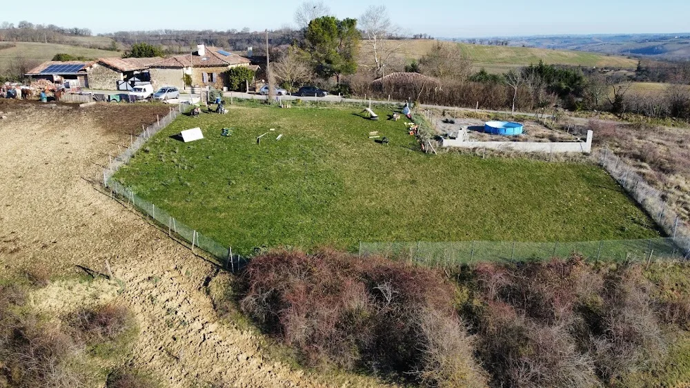 Auberge canine Midi-Pyrénées - Gers pet otel görseli 7