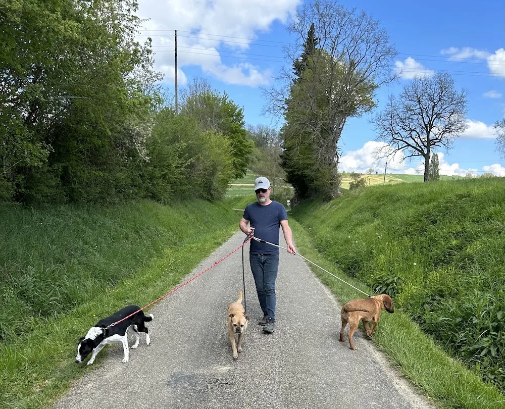 CANIJALIS - Maison de vacances pour chiens - Gers pet otel görseli 3