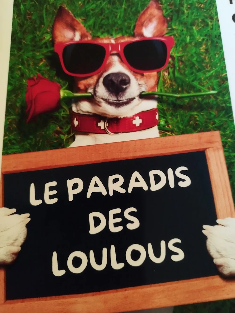 Le Paradis des Loulous - Gers pet otel
