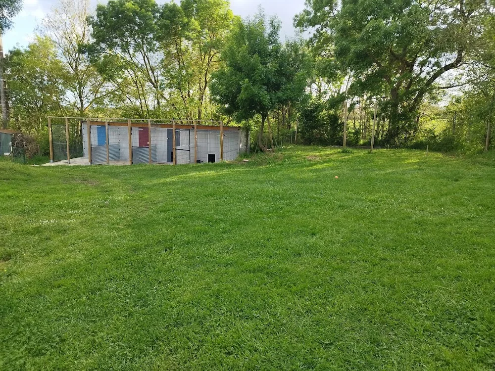 Le Paradis des Loulous - Gers pet otel görseli 3