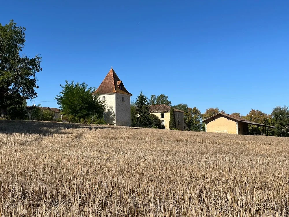 Pension canine et feline Les Jardins de Becky - Gers pet otel