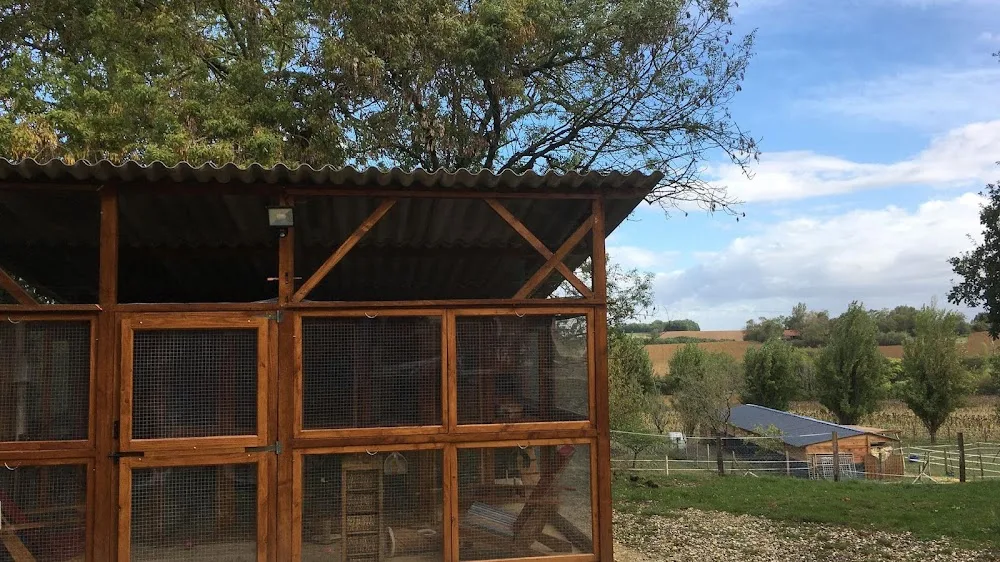 Pension Féline Chez Nicky - Gers pet otel