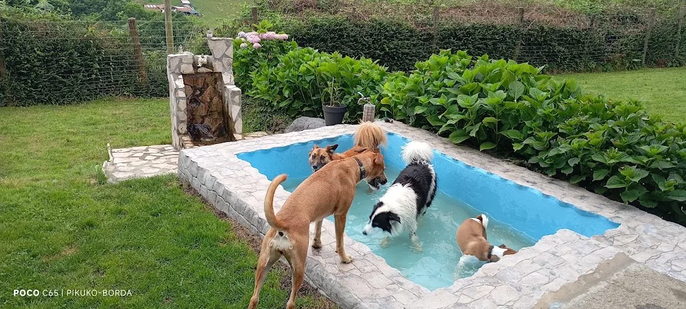 Resort canino Pikuko - Gipuzkoa pet otel