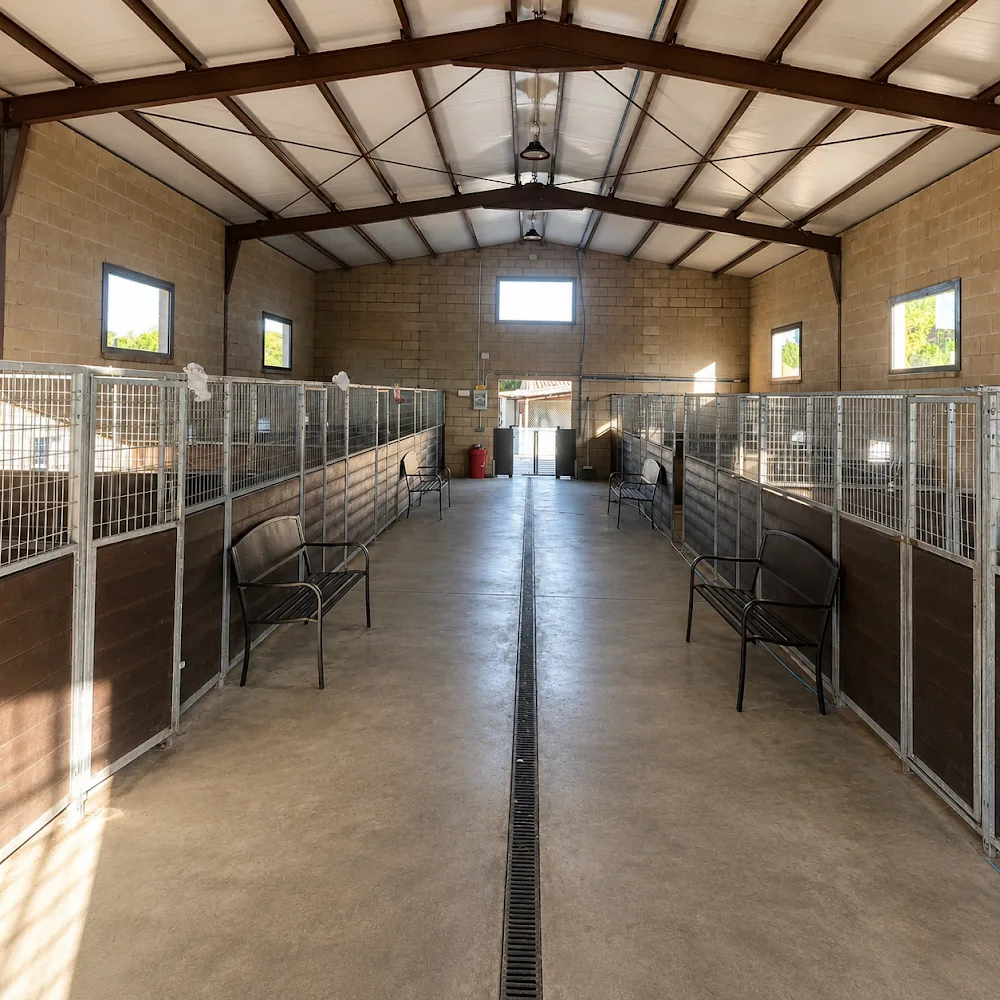 Fidel Residencia Canina - Girona pet otel