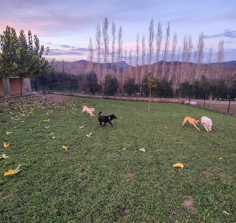 Mircatpark resort - Girona pet otel görseli 3