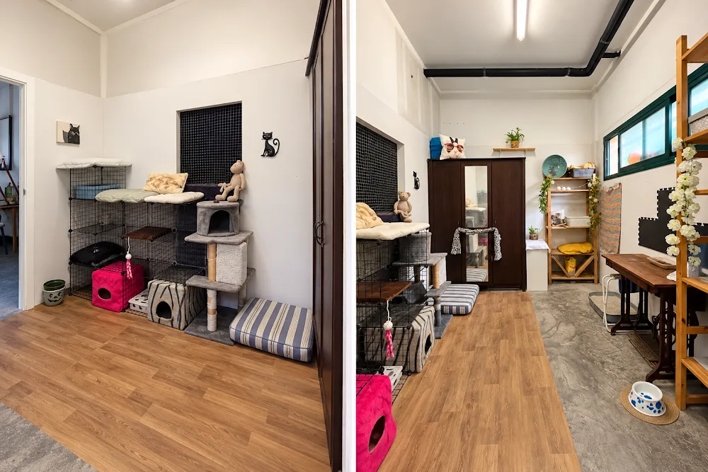 Purrfect Stay - Girona pet otel görseli 3