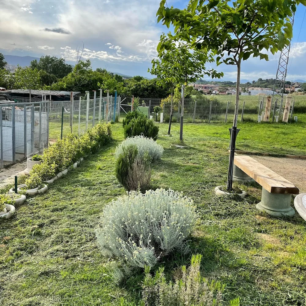 Residencia canina Banyoles Placocan - Girona pet otel