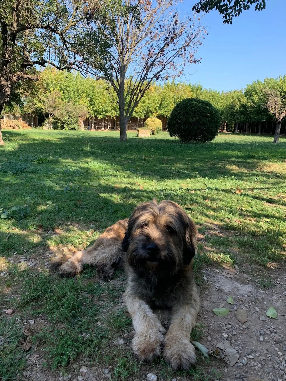 Residencia Canina Campdura - Girona pet otel
