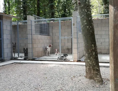 Residència canina La Devesa - Girona pet otel