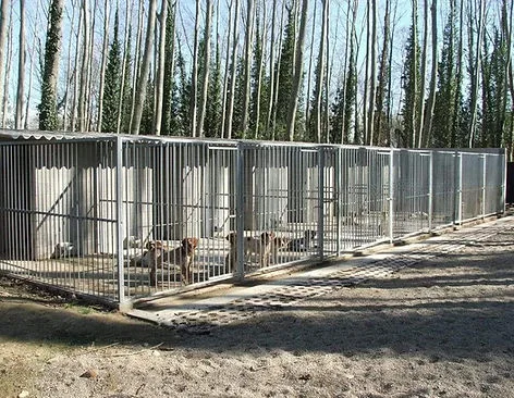 Residència canina La Devesa - Girona pet otel görseli 3
