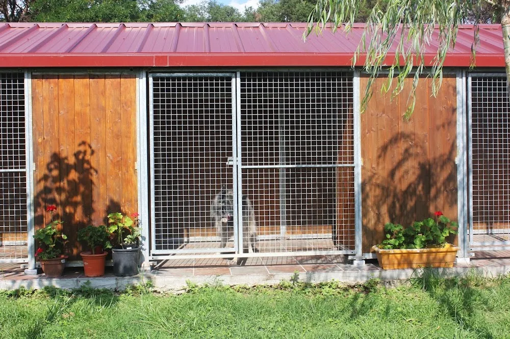 Rockendall - Residència Canina - Girona pet otel