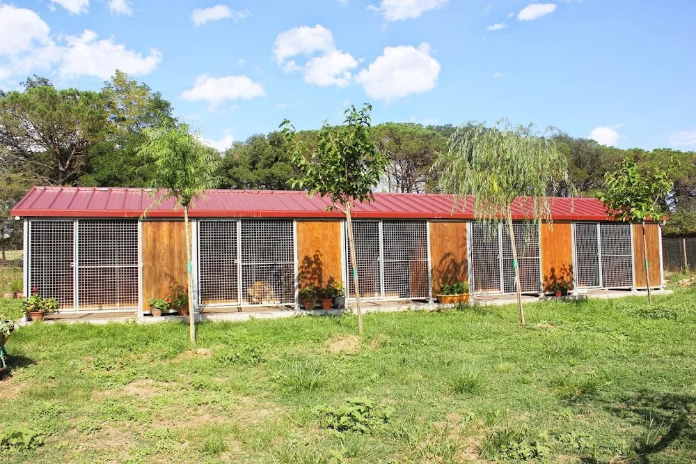 Rockendall - Residència Canina - Girona pet otel görseli 3