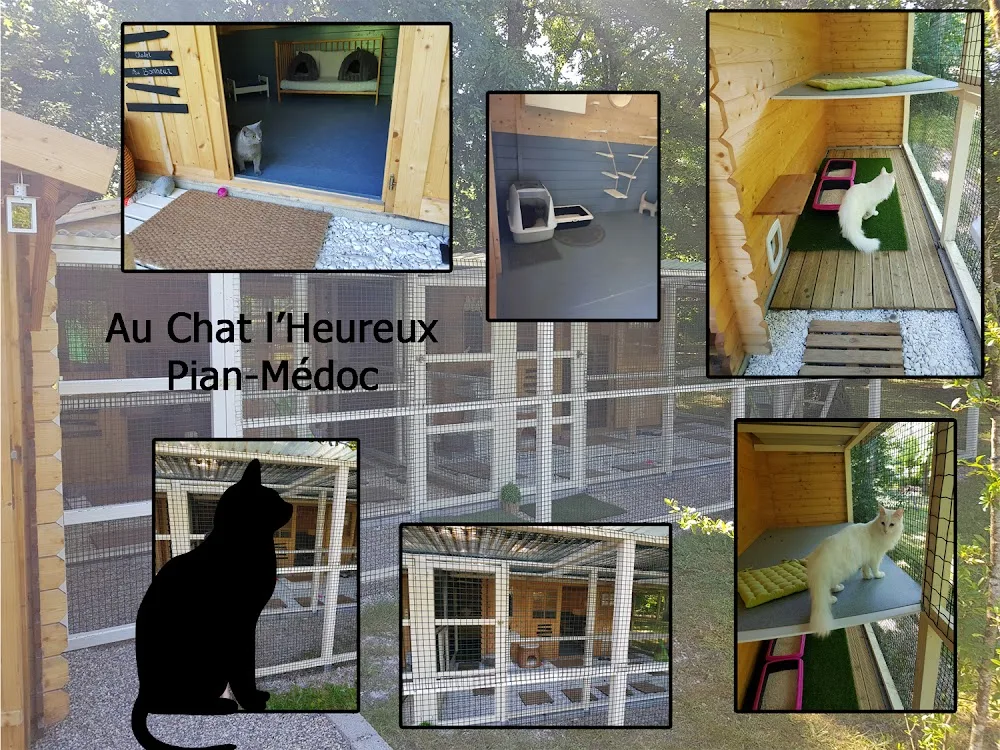 Au Chat l'Heureux - Gironde pet otel