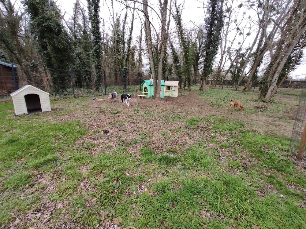 Gaya Animalia - Gironde pet otel görseli 3