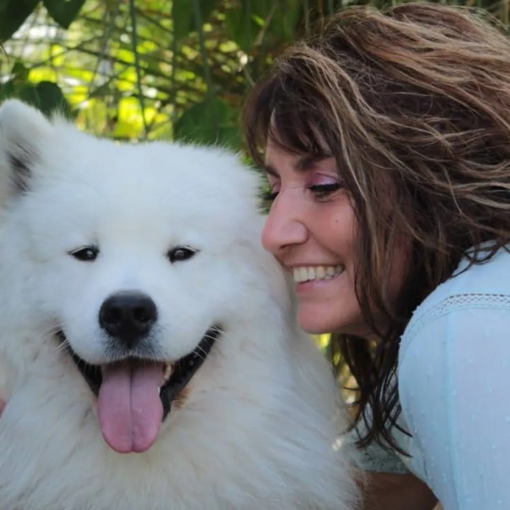 Gaya Animalia - Gironde pet otel görseli 4