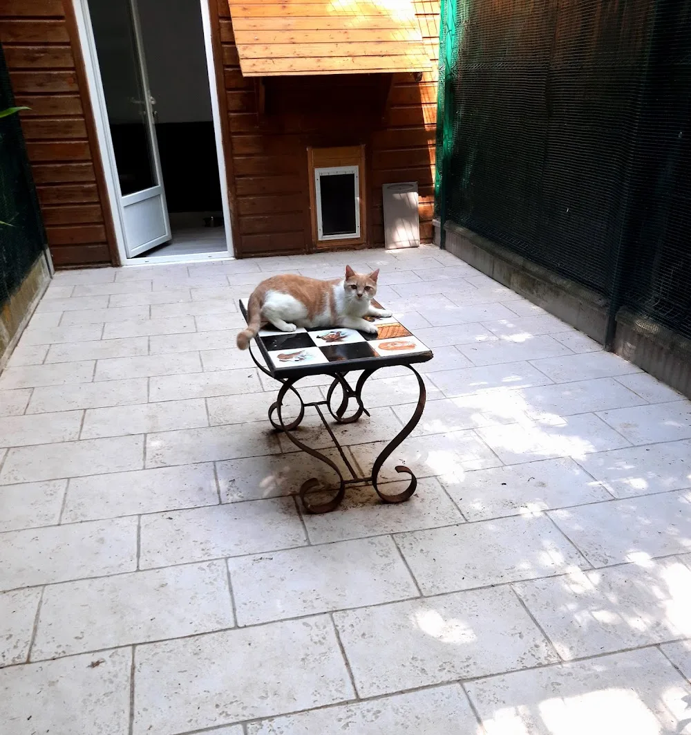 La Chatterie de Noisette - Gironde pet otel görseli 3