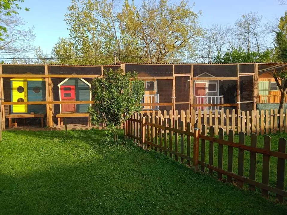 La Félinerie 33, pension pour chats - Gironde pet otel görseli 3