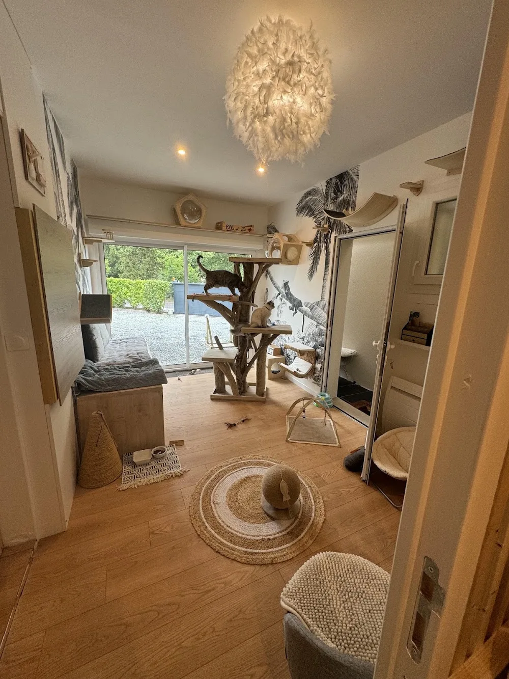 L'Escapade des Charmilles - Pension-Hôtel pour chats - Gironde pet otel
