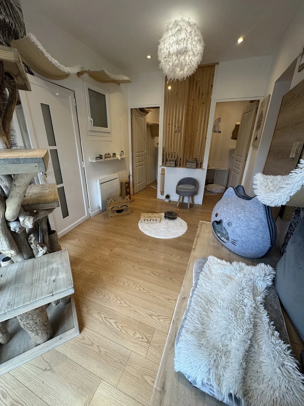 L'Escapade des Charmilles - Pension-Hôtel pour chats - Gironde pet otel görseli 3
