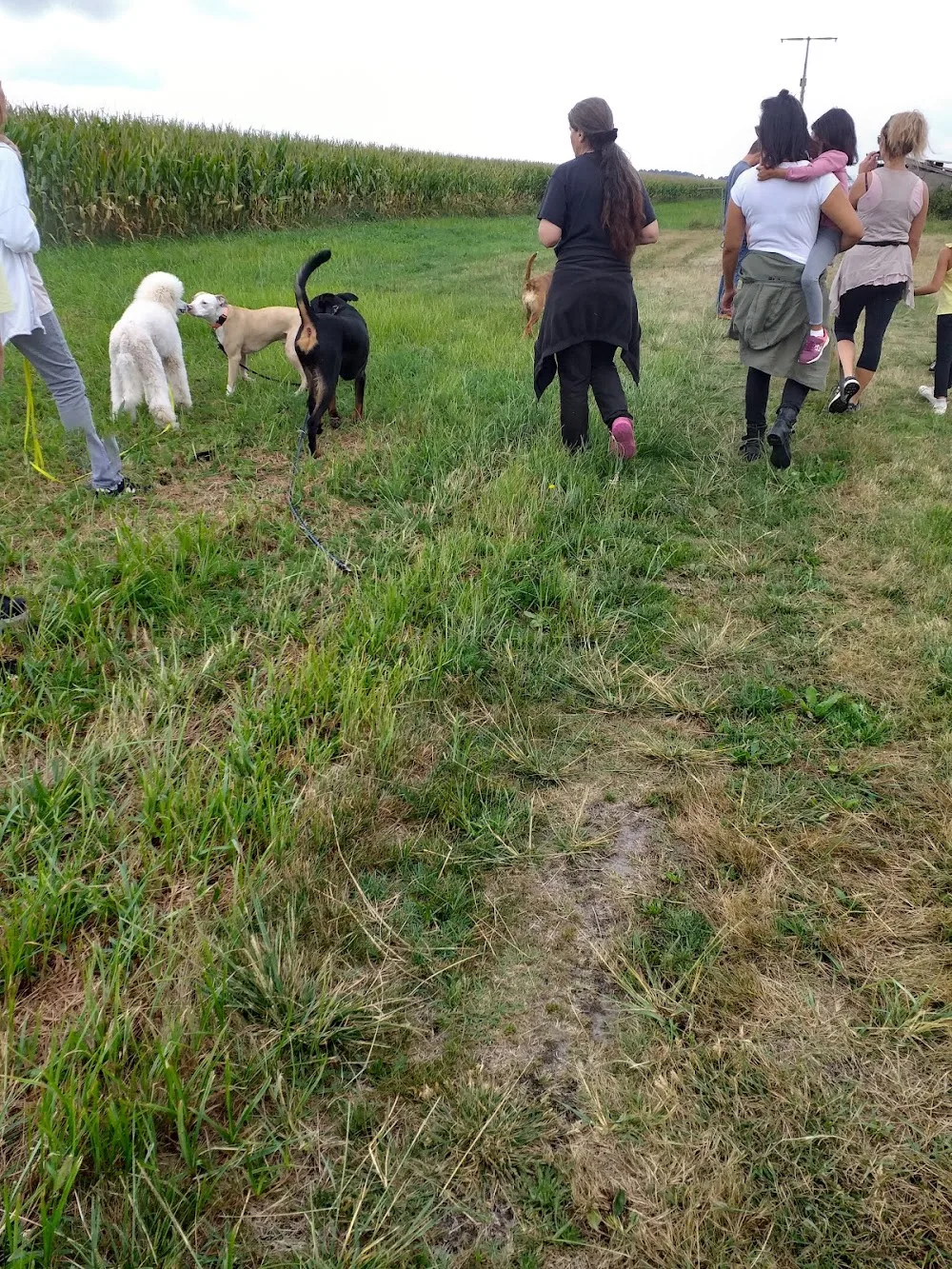Pension Canine Education Houguey Long - Gironde pet otel