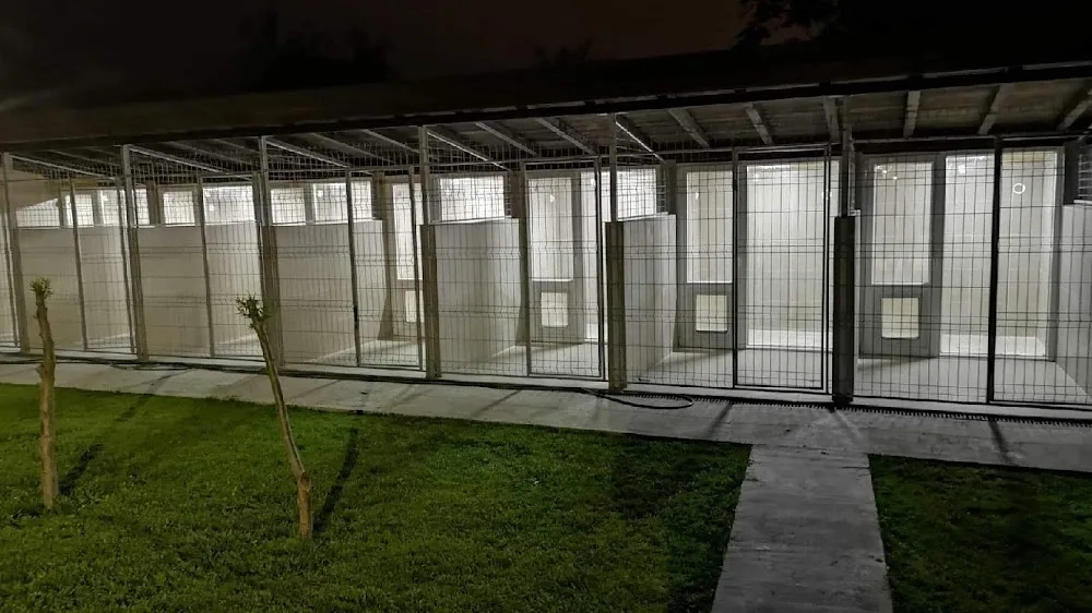 Dogs Pension Apache Two steps from Bucharest - Giurgiu pet otel