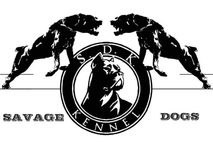 SavageDogsKennel - Giurgiu pet otel görseli 3