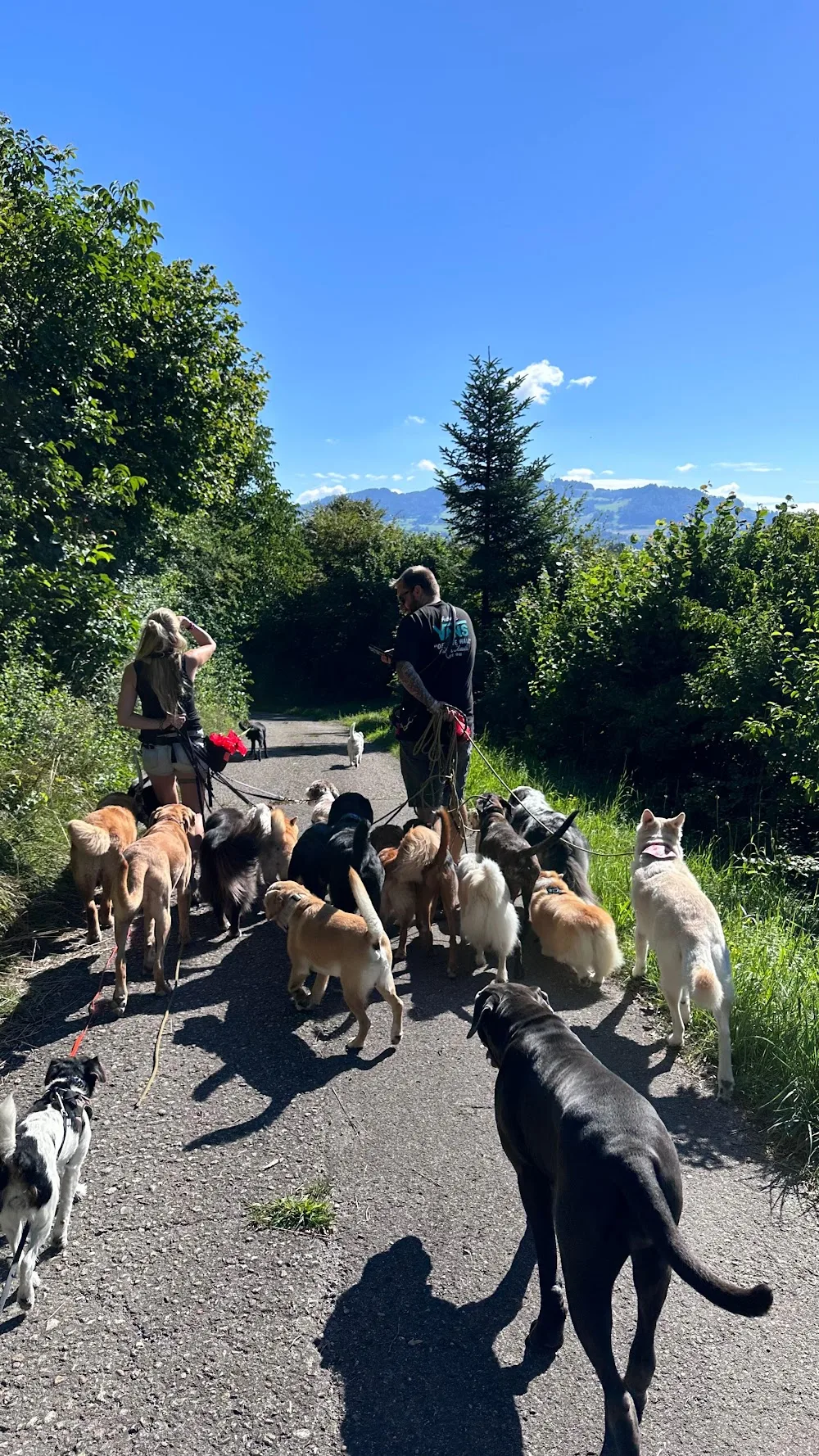 Happy Trails Hundepension - Glarus pet otel