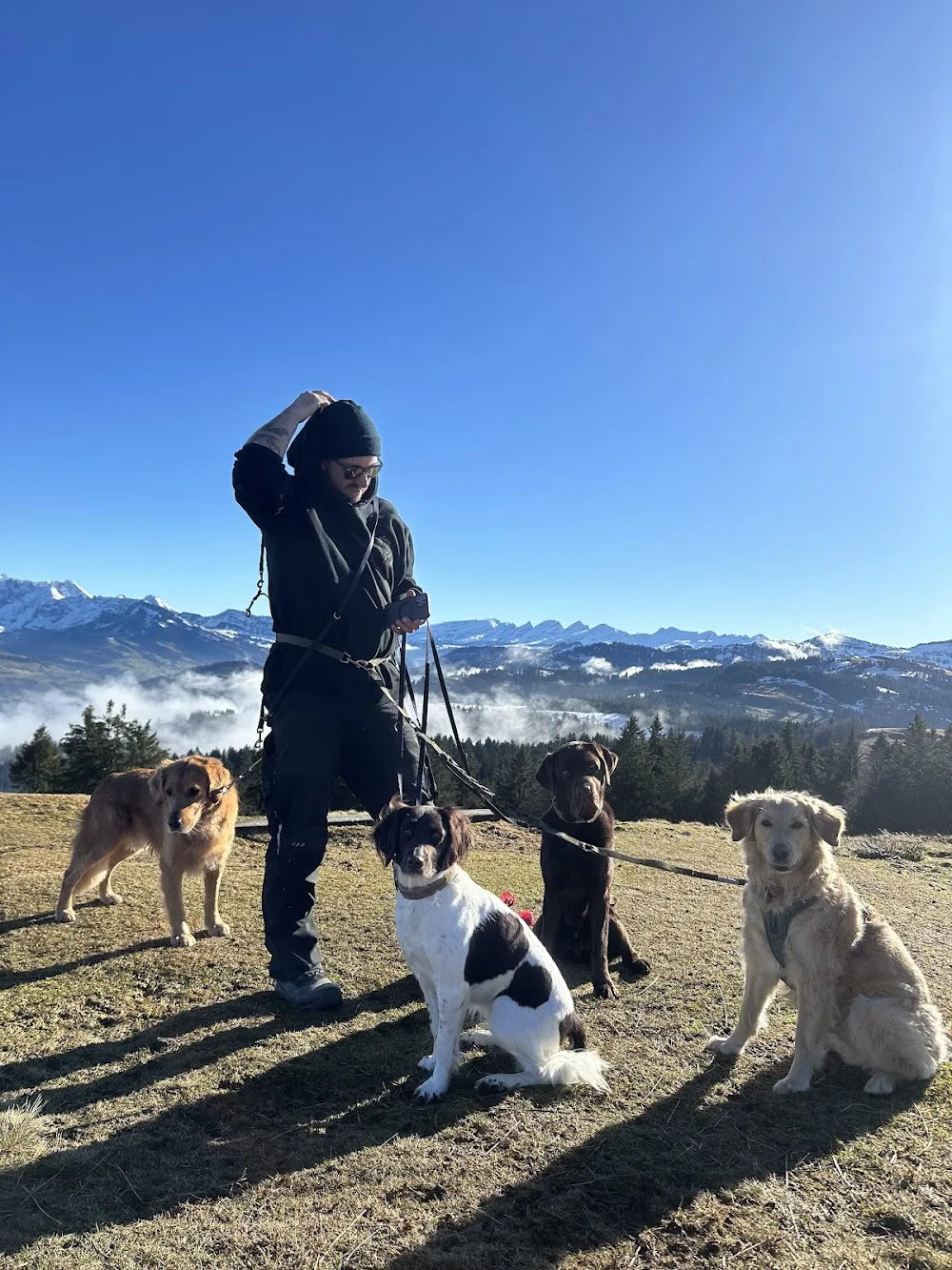 Happy Trails Hundepension - Glarus pet otel görseli 3