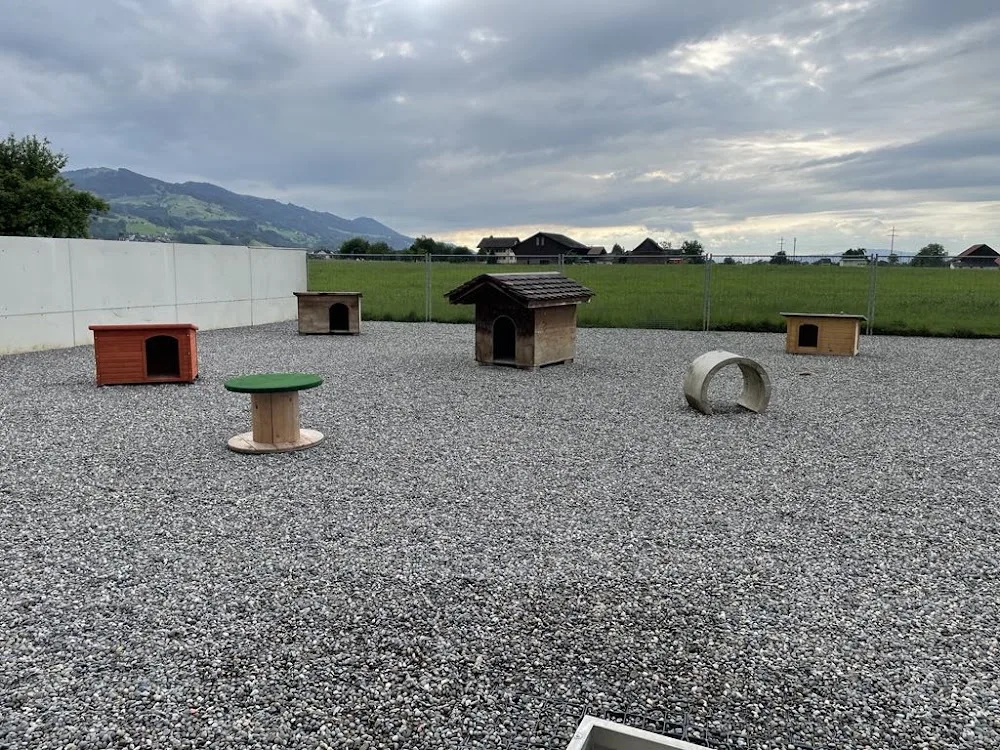 Hundebetreuung Kessler - Glarus pet otel