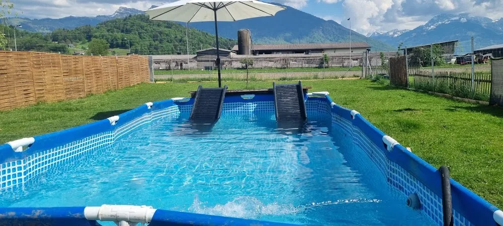 Hundezentrum Obersee Hundehotel - Glarus pet otel