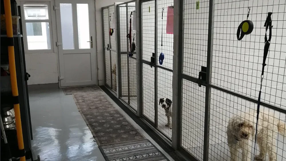 Churchdown Cattery & Kennels - Gloucestershire pet otel