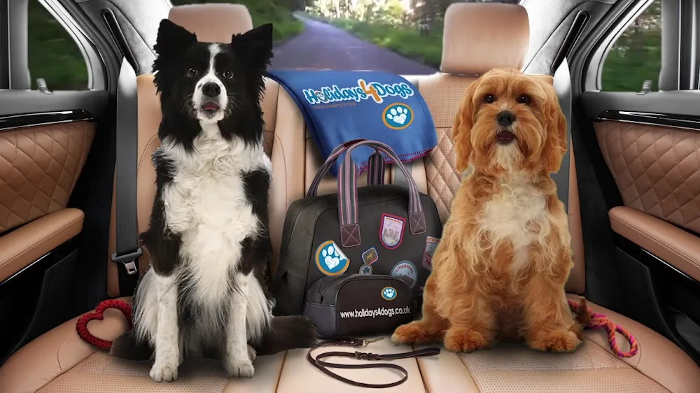 Holidays4Dogs Gloucestershire - Gloucestershire pet otel