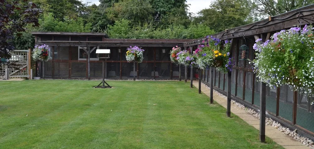 Maisemore Cattery - Gloucestershire pet otel
