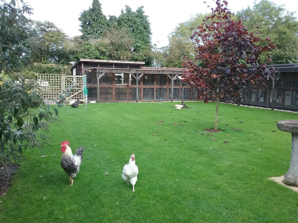 Maisemore Cattery - Gloucestershire pet otel görseli 3