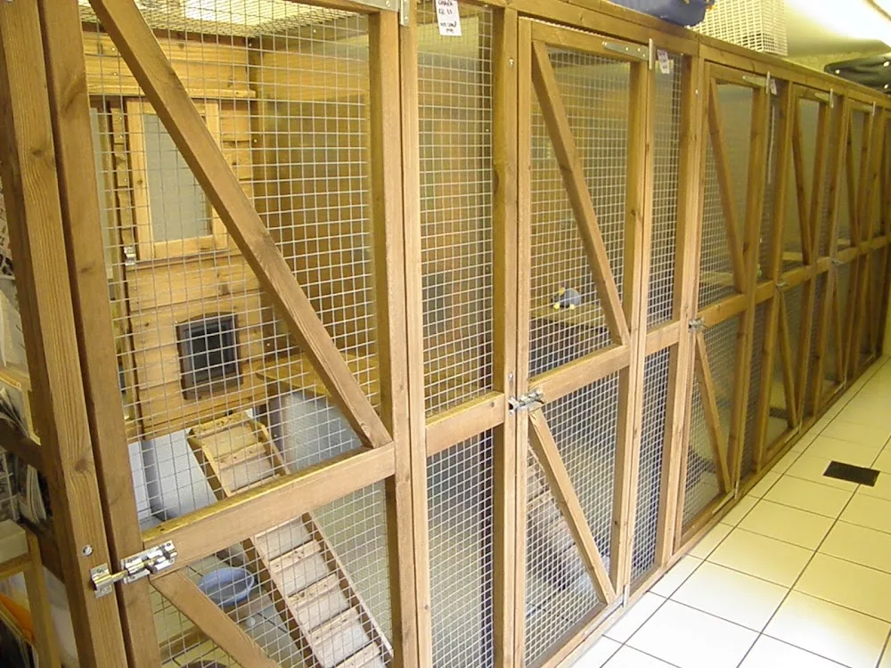 Manor Farm Cattery - Gloucestershire pet otel görseli 3