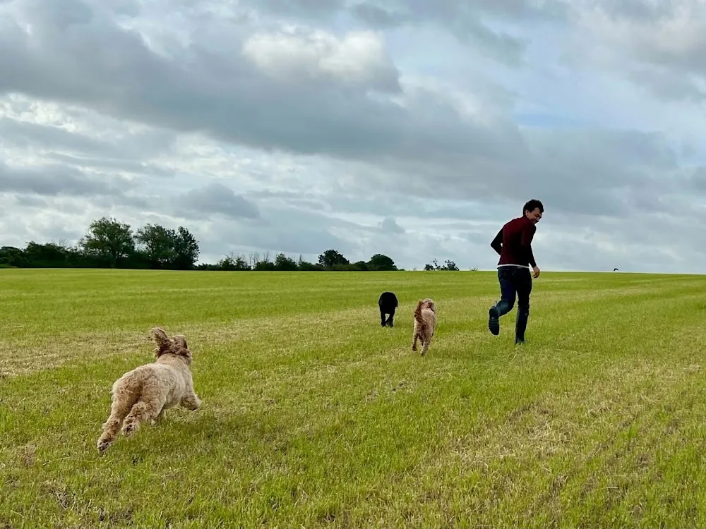 Matt’s Dog Boarding & Day Care - Gloucestershire pet otel