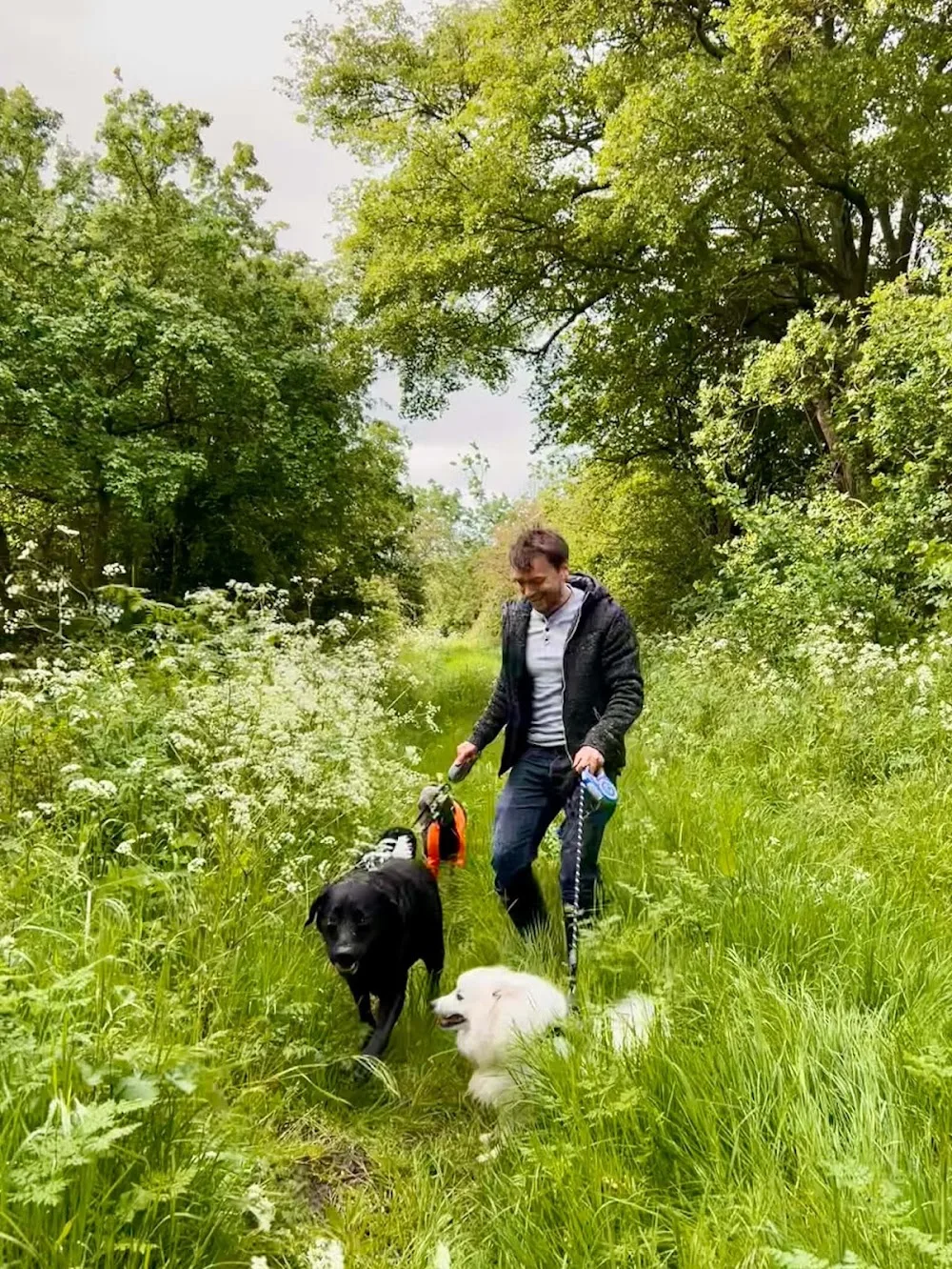 Matt’s Dog Boarding & Day Care - Gloucestershire pet otel görseli 3