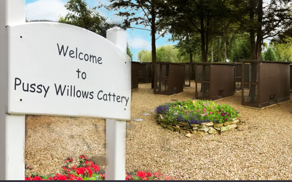 PussyWillows Cattery Ltd - Gloucestershire pet otel görseli 2